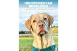 Hondengedrag begrijpen