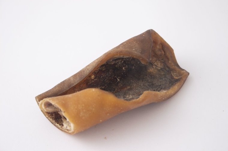 Doorbijtersbox - Bellobox