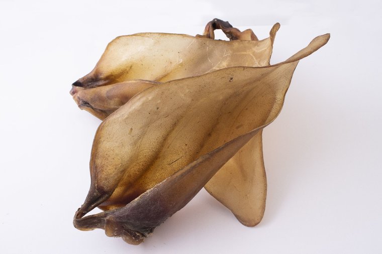 Doorbijtersbox - Bellobox