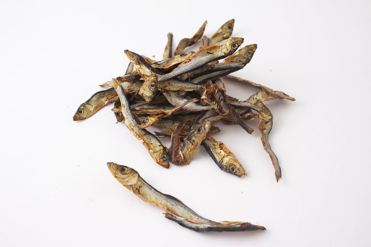 Bellobox Senior - Bellobox