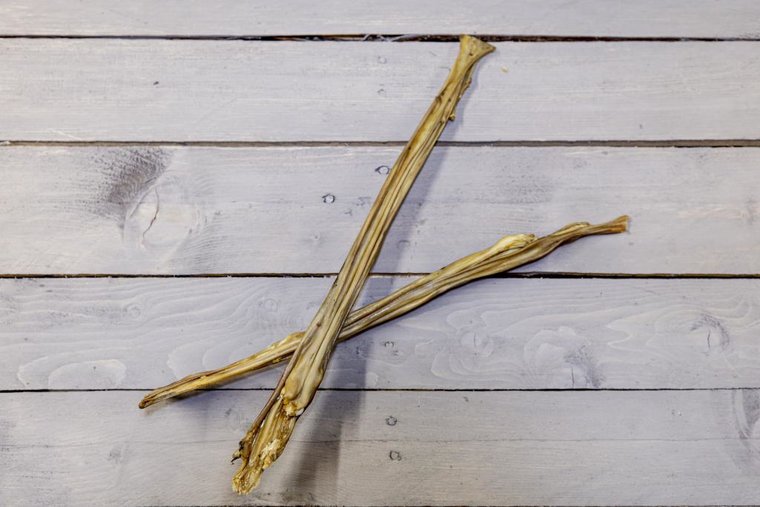 Hypoallergene doorbijtersbox - Bellobox