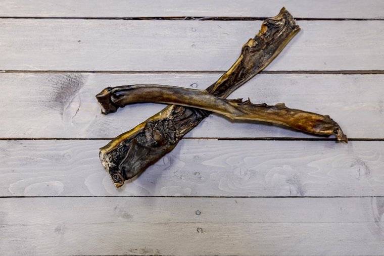 Hypoallergene doorbijtersbox - Bellobox