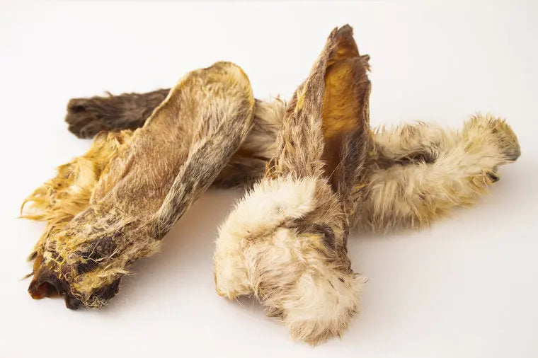 Puppy Bellobox - Bellobox