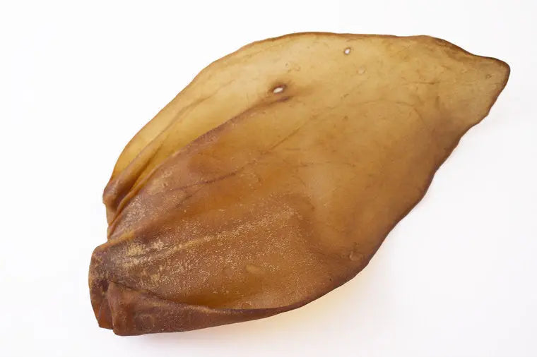 Puppy Bellobox - Bellobox