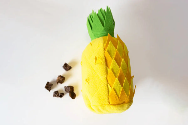 Ananas snuffelspeelgoed