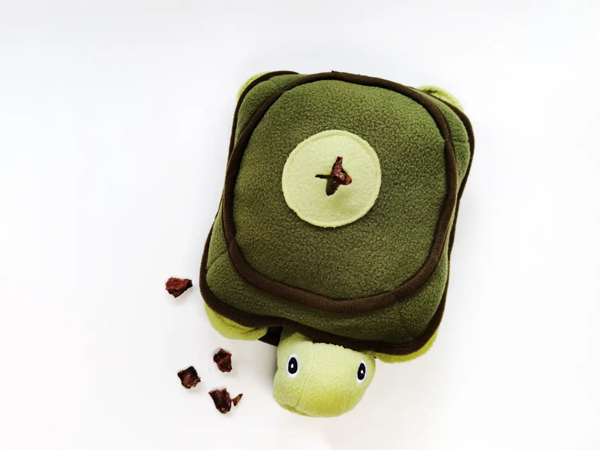 knuffel- en hersenspel Schildpad - Bellobox