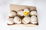 Eierdoos snuffelspel