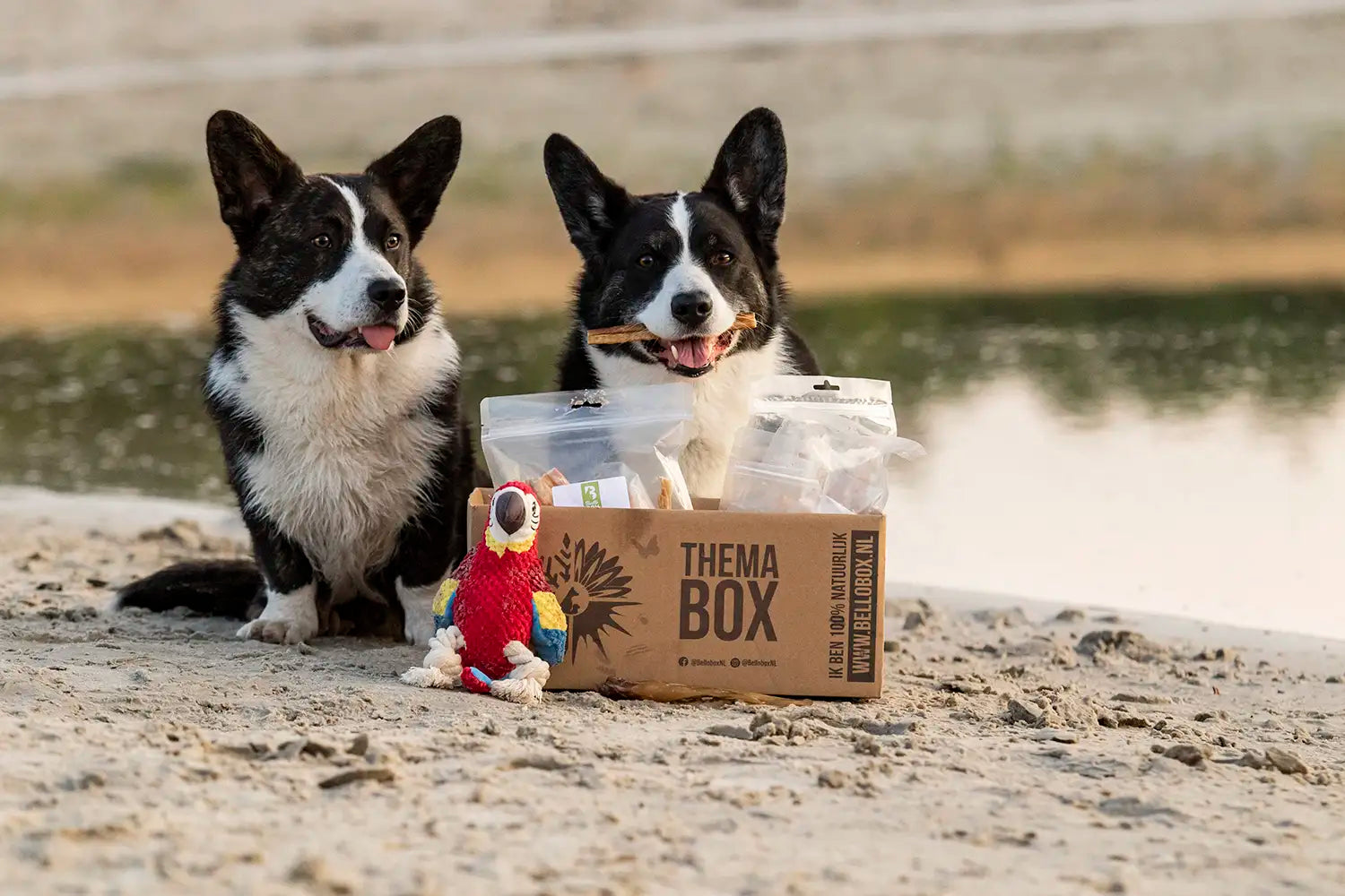 LIMITED EDITION: THEMABOX ZOMER