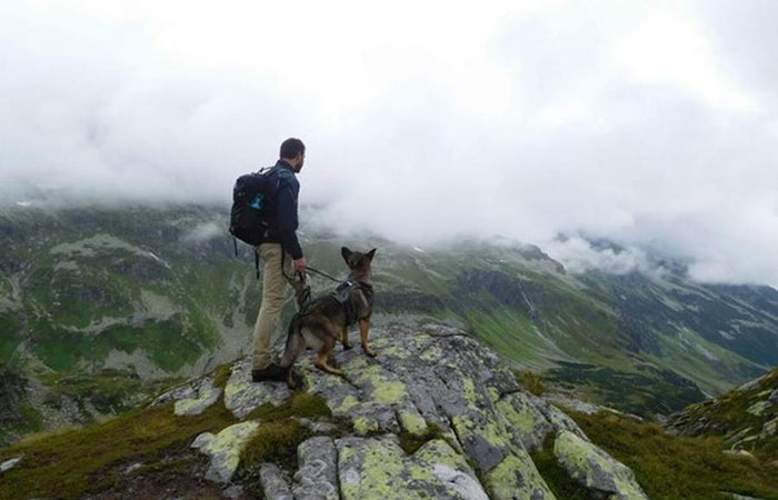 Wandelen in de Oostenrijkse bergen met mijn hond