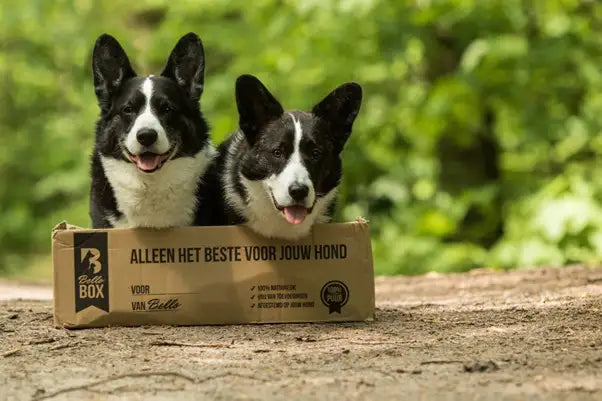 Verrijking: Wat te doen met je lege Bellobox