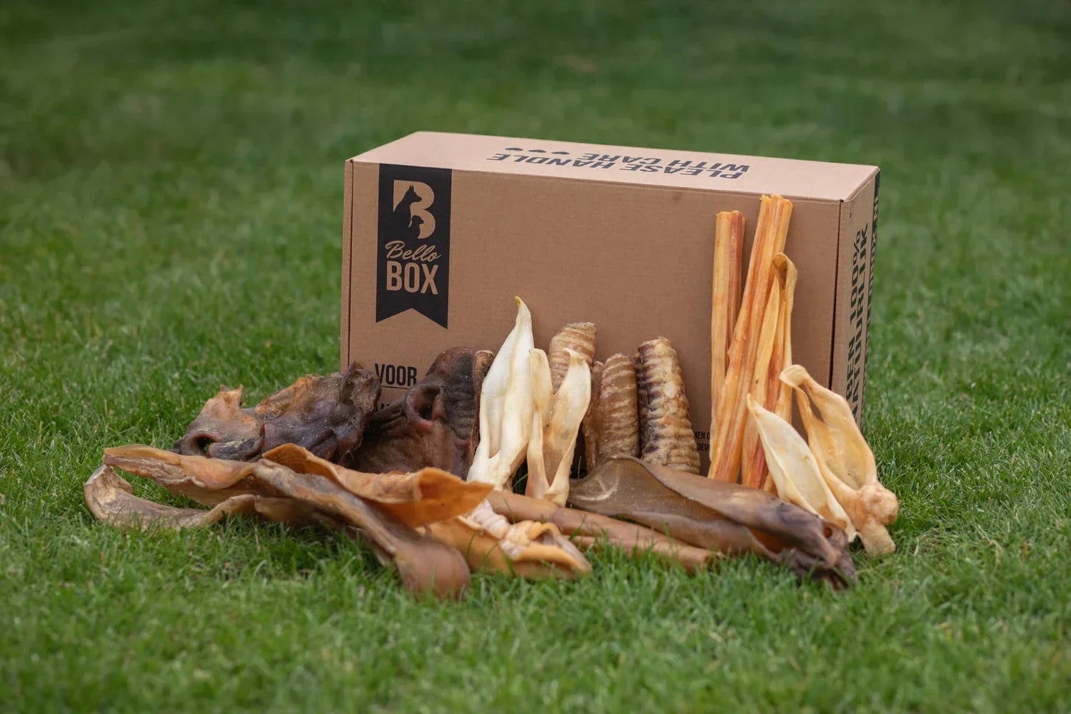 Glutenvrije hondensnacks: waarom steeds meer honden er baat bij hebben