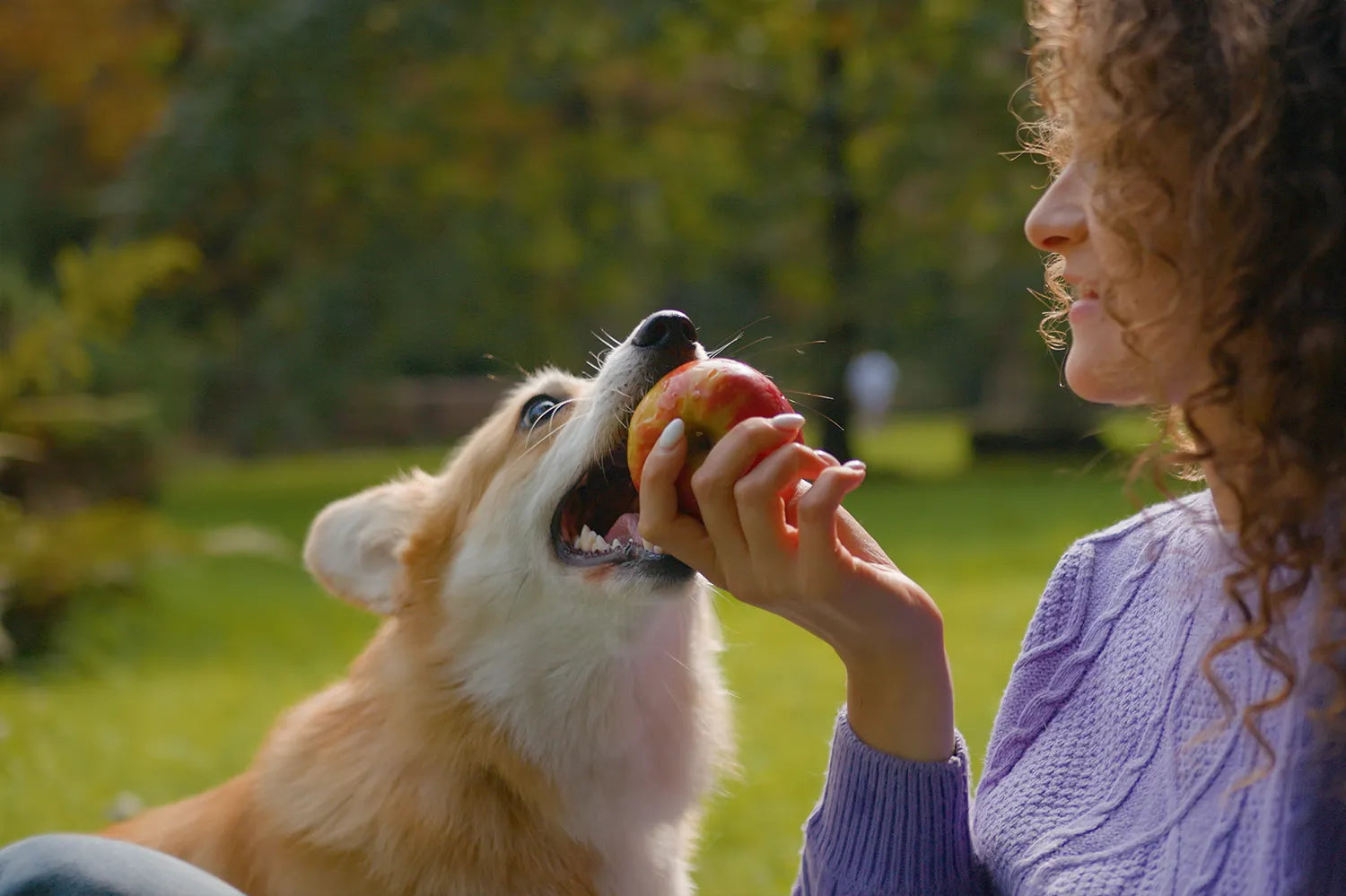 Mag een hond appel eten?