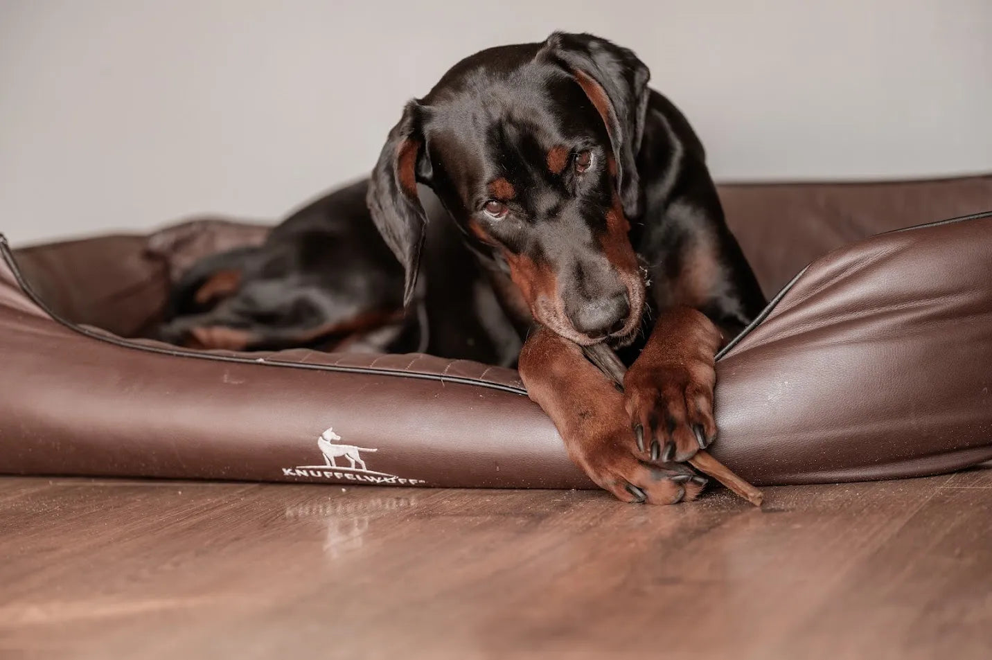 Is een kauwbot gevaarlijk voor je hond?