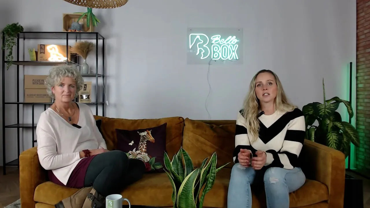 Webinar: 🧠 Hersenwerk voor honden: spelenderwijs bouwen aan ontspanning en vertrouwen