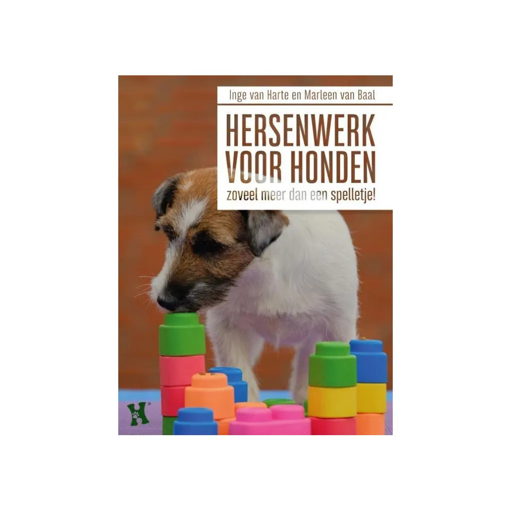 Hersenwerk voor honden: meer dan een spelletje met Marleen van Baal