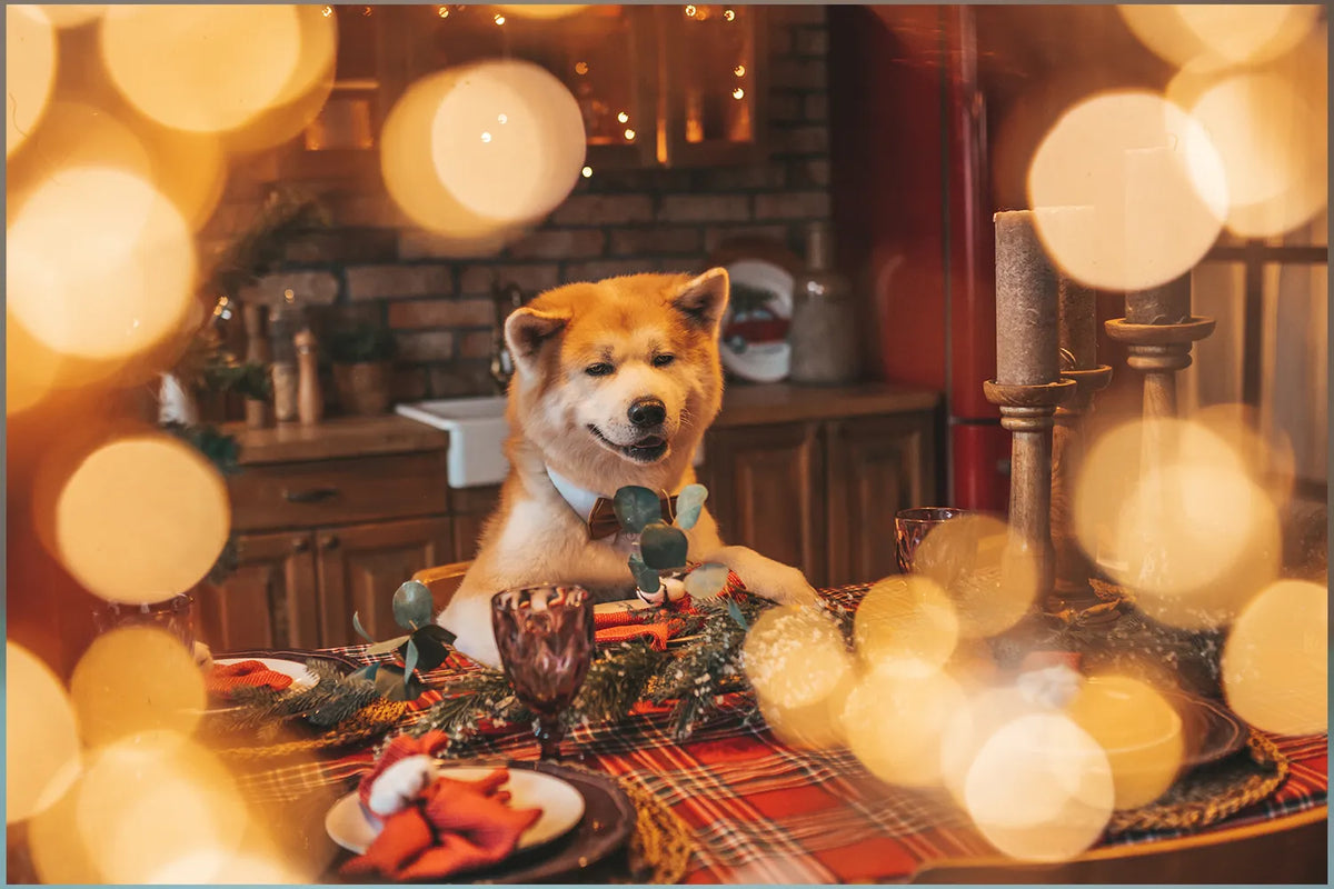 Gevaarlijke kersttafel-etenswaren voor je hond
