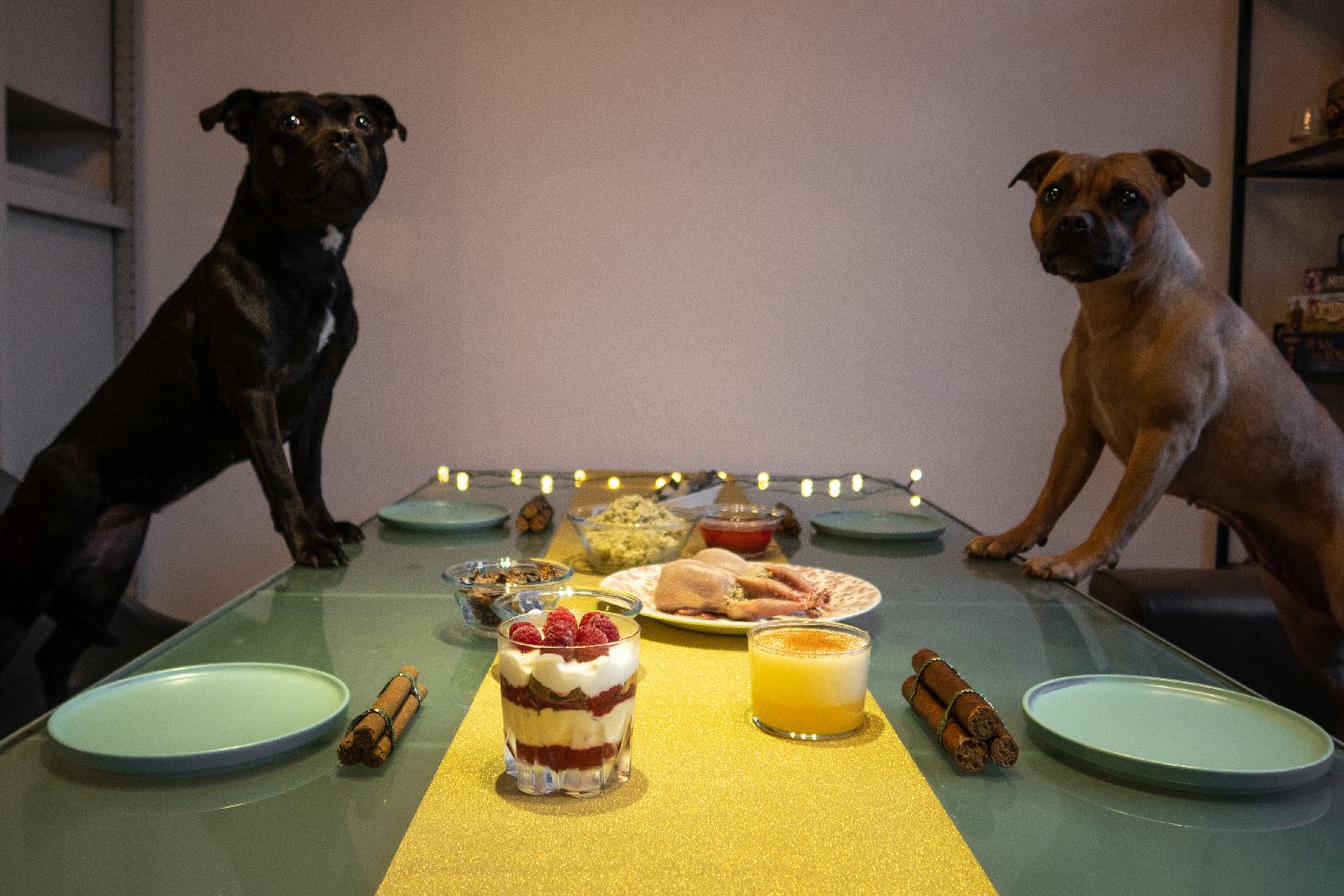 Kerstdiner voor de hond