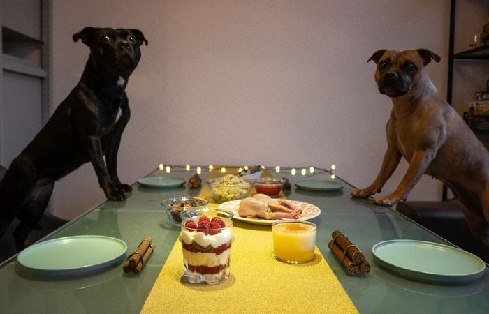 Kerstdiner voor de hond