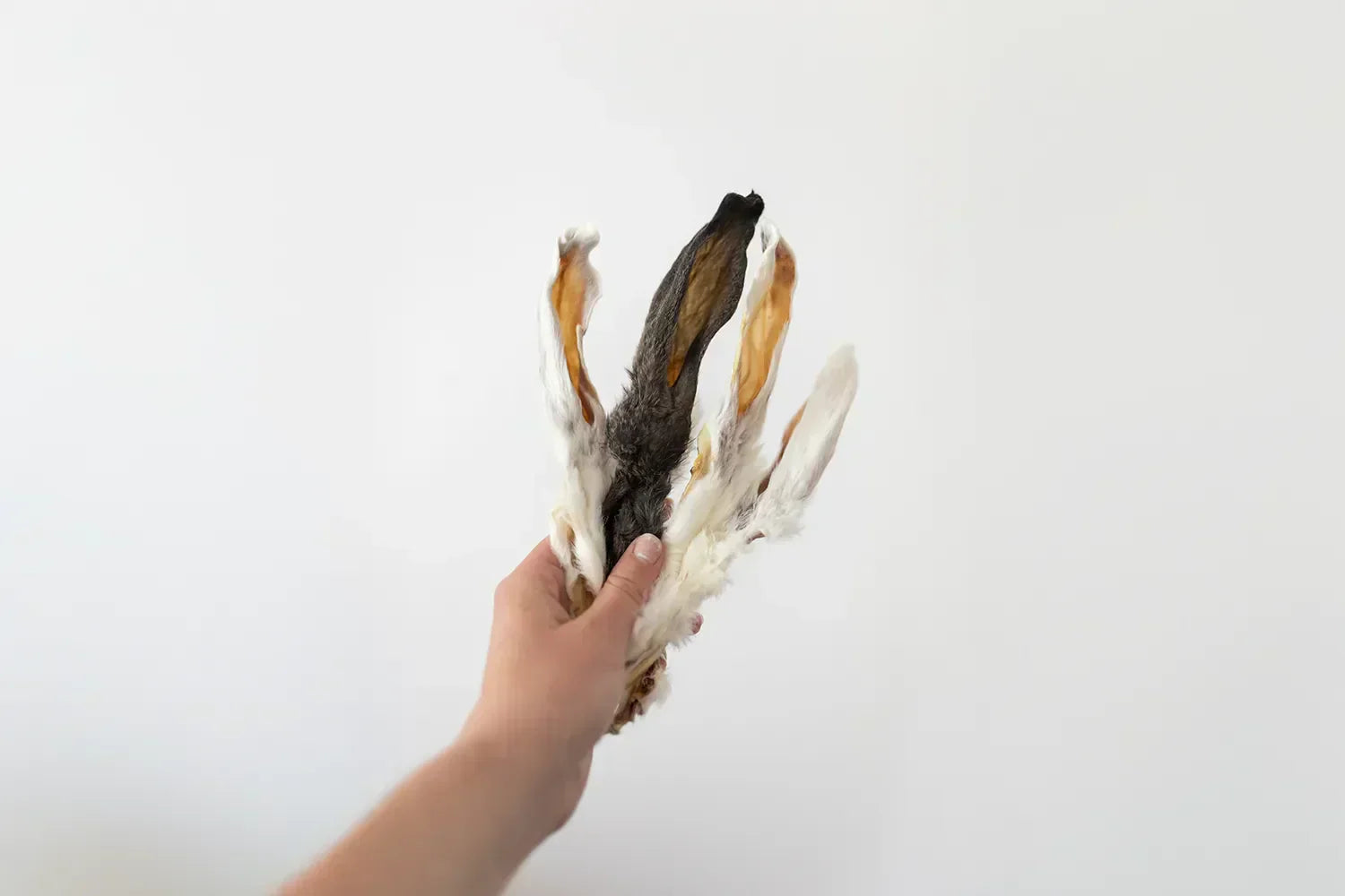 Hondensnacks zonder additieven: wat betekent dat precies?