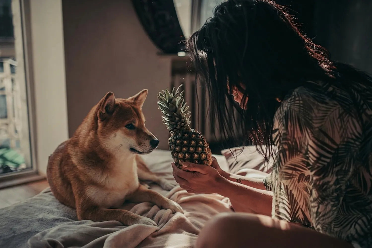 Hond en baas kijken samen naar een ananas