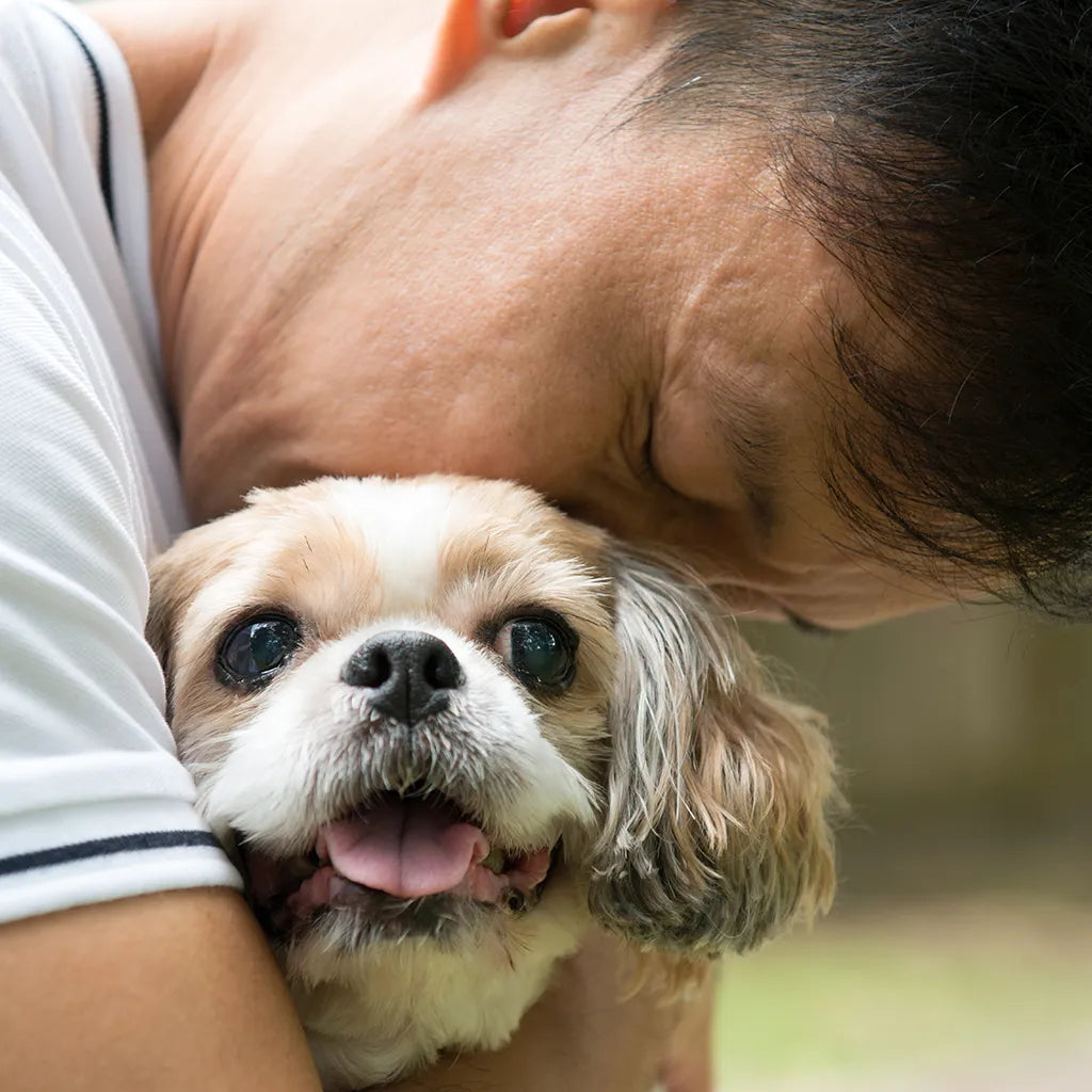 Rouw bij het verlies van je hond: zo steun je jezelf en je dier - Met Marleen van Baal