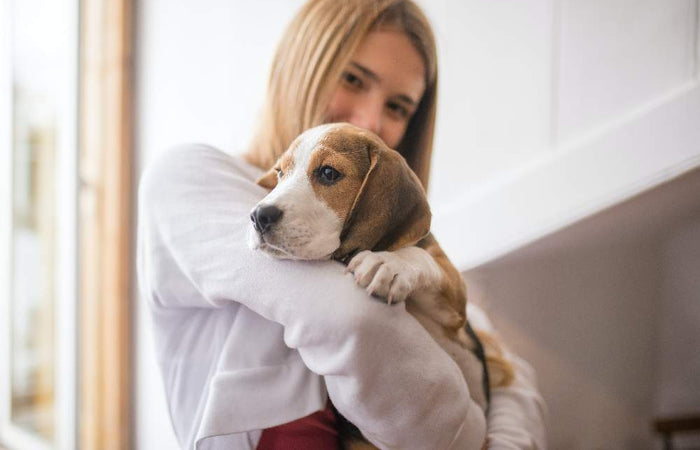 5 Last Minute Tips: Vuurwerkangst bij Honden