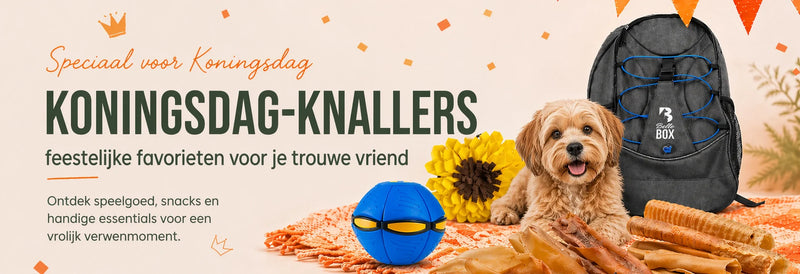 Koningsdag knallers