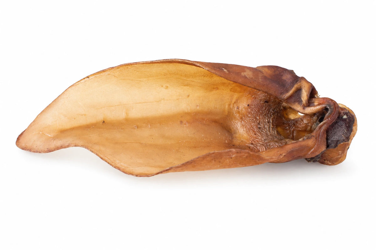 Runderoren met pit