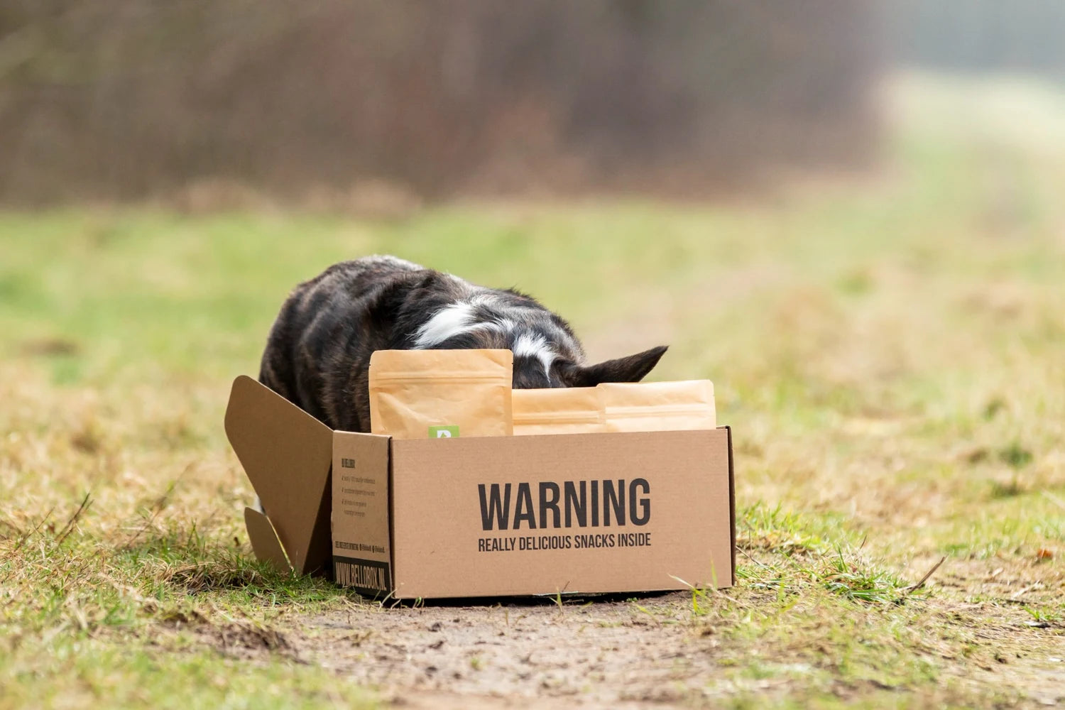 Een verassingsbox van Bellobox