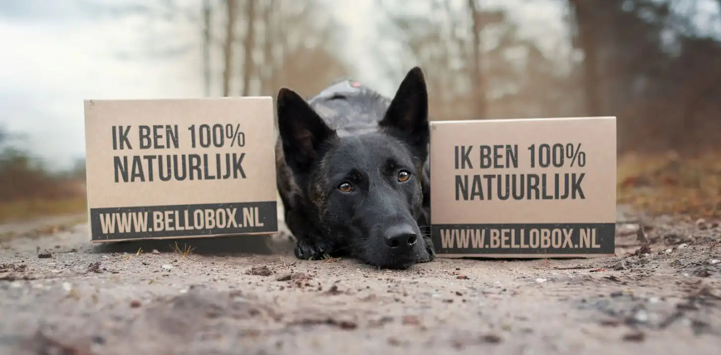 Hondensnoepjes kopen