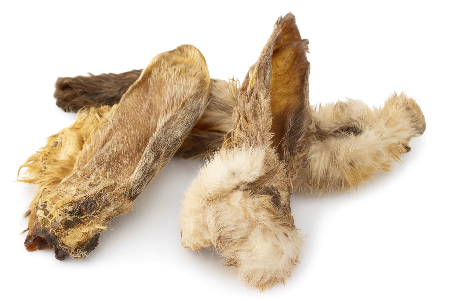 Konijnenoren met vacht