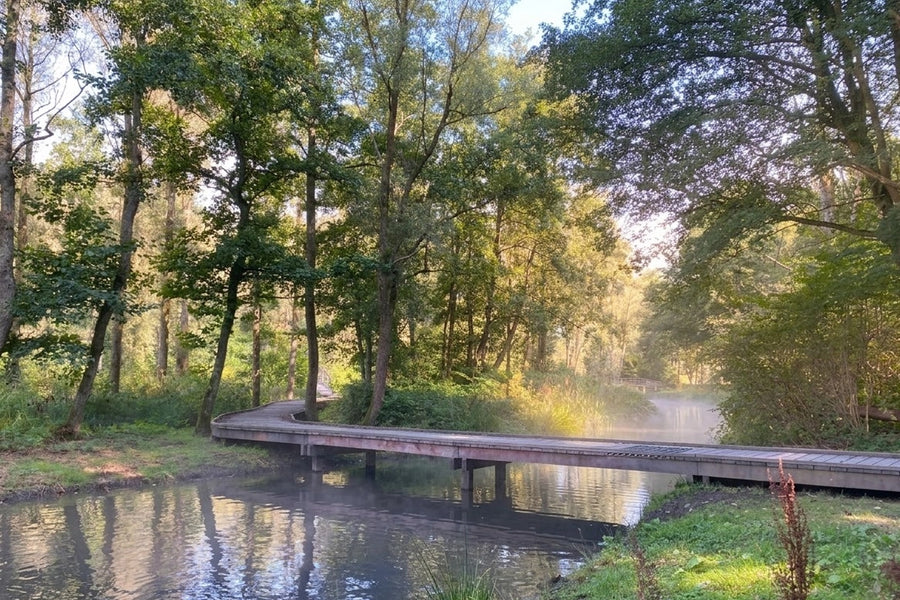 Lage Bergse Bos