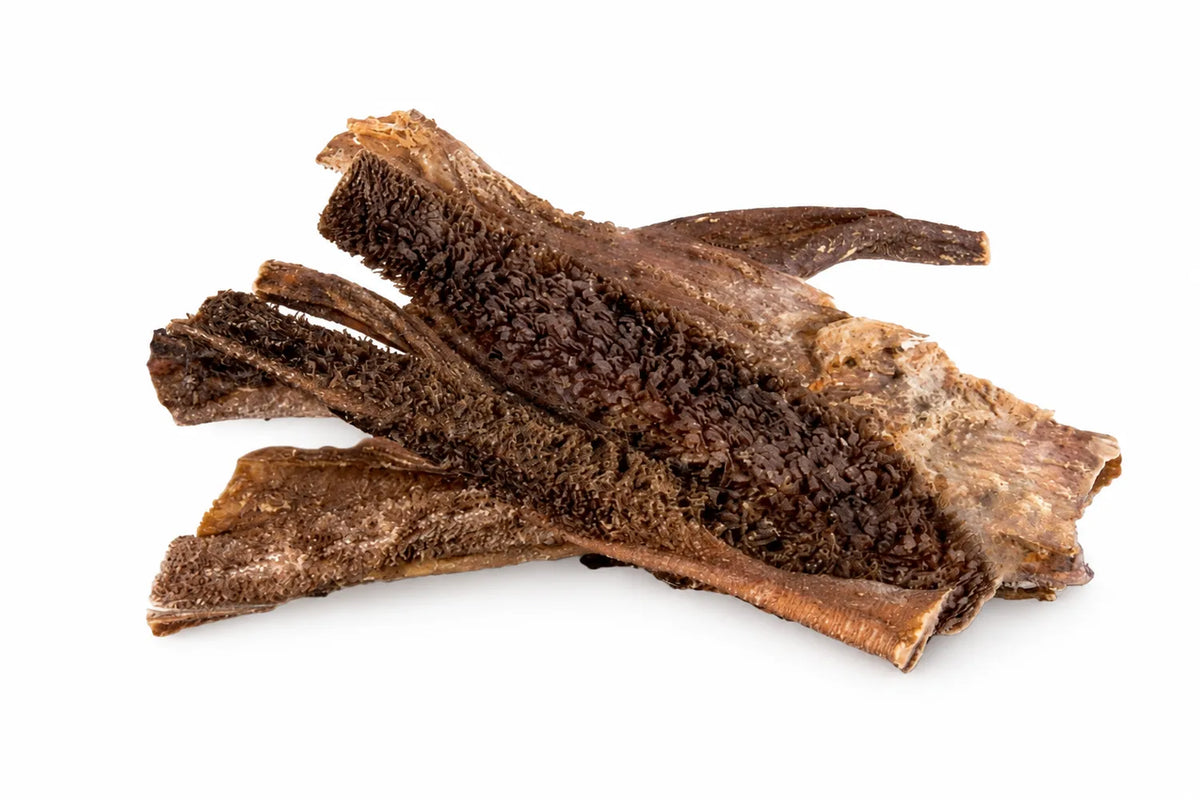 Kamelenpens (150g)