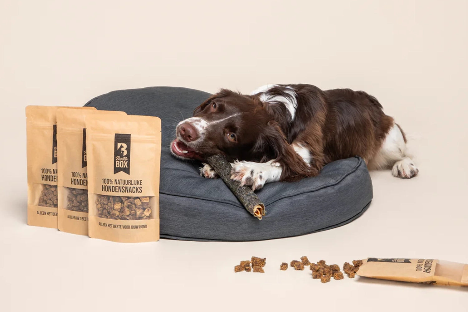 Hypoallergene voeding hond