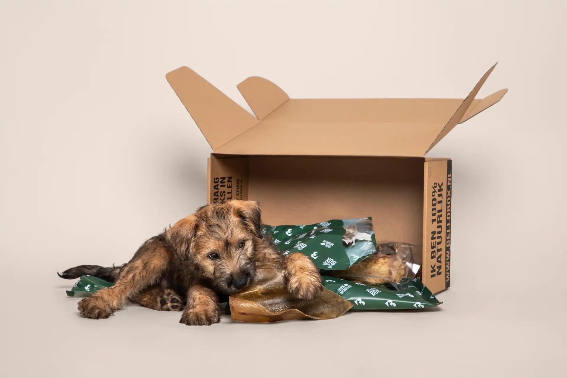 Verwen je puppy met een cadeau