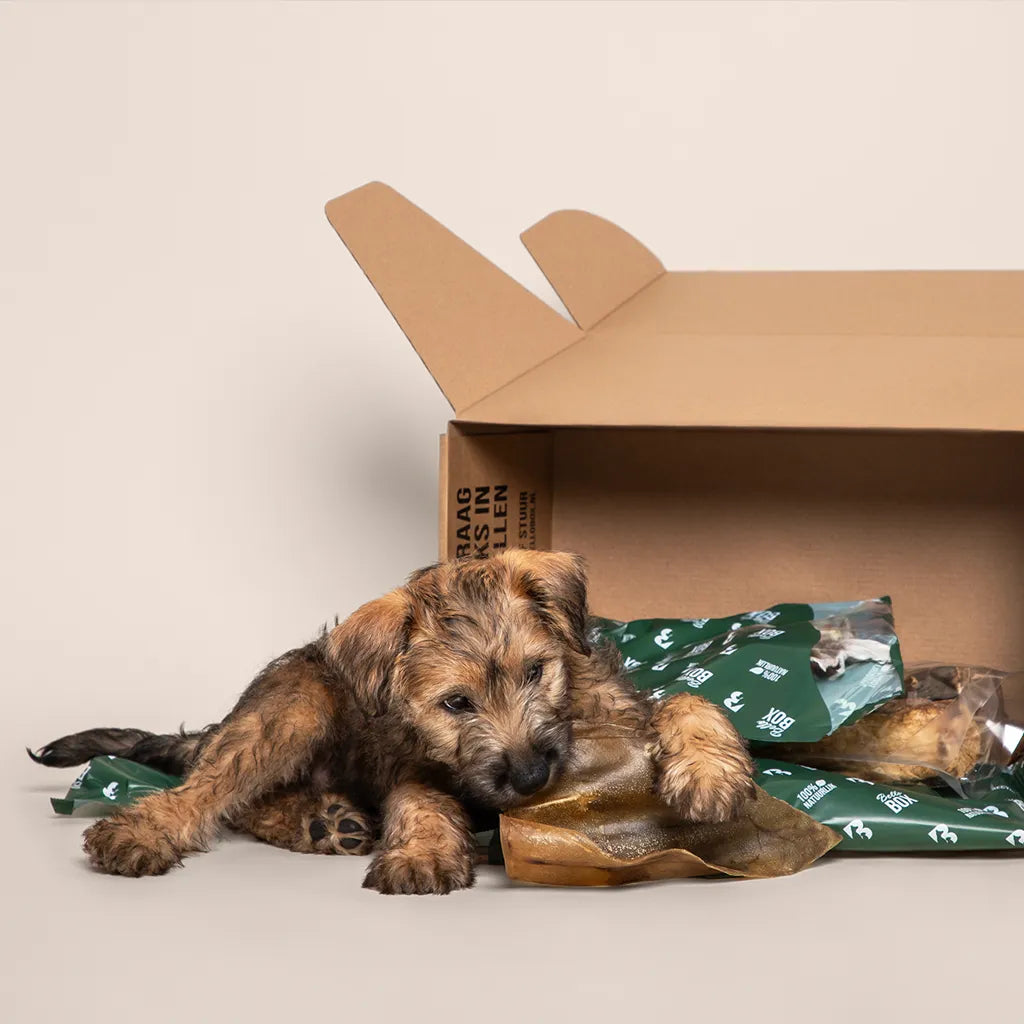 Verras je puppy met een kauwbot