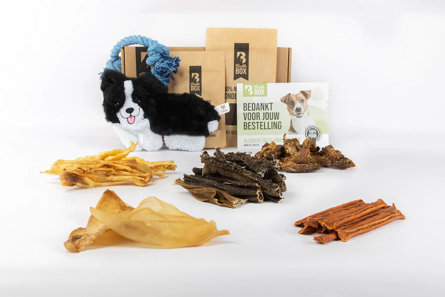Puppybox